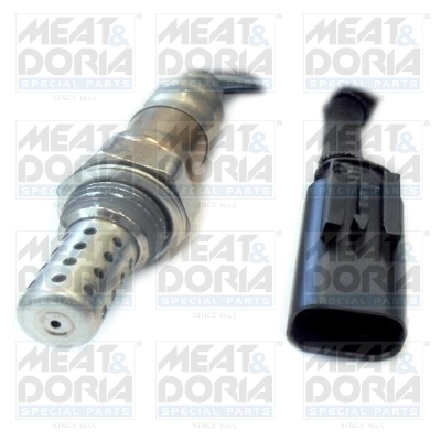 Oxygen Sensor